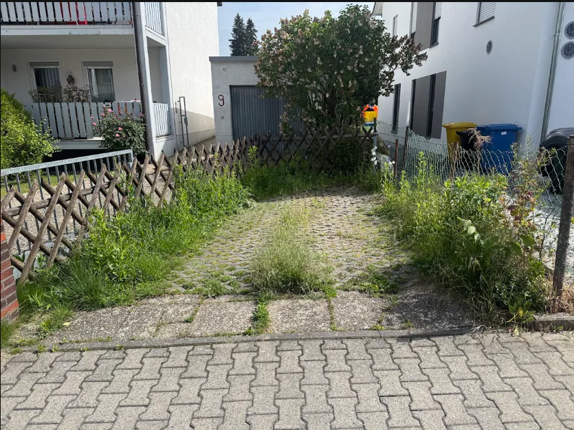 Überwachsener Außenbereich vor der Pflege durch Perla’s