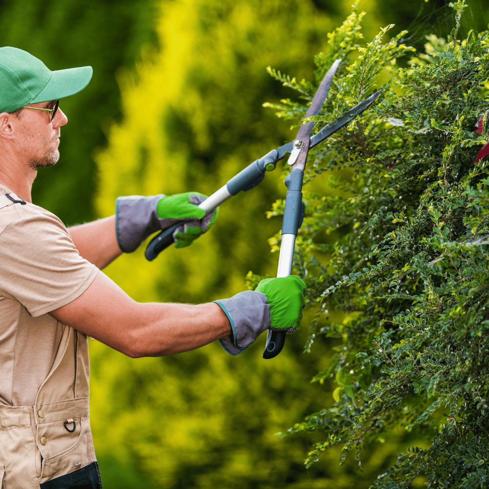 Gartenpflege mit Perla´s Objektbetreuung